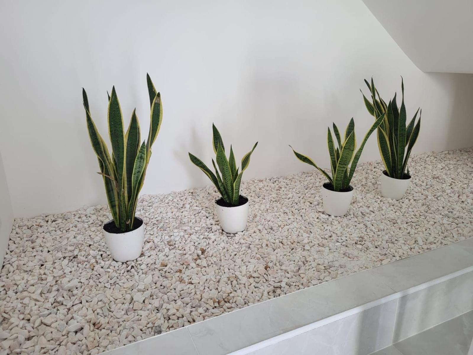 Hostelccportimao Ngoại thất bức ảnh