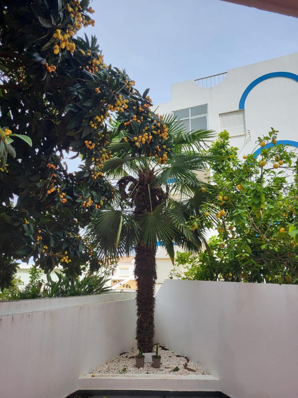 Hostelccportimao Ngoại thất bức ảnh
